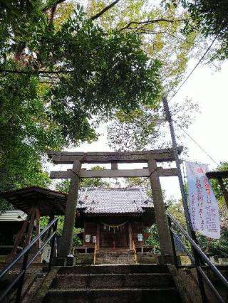 山田神社の参拝記録(またたびさん)