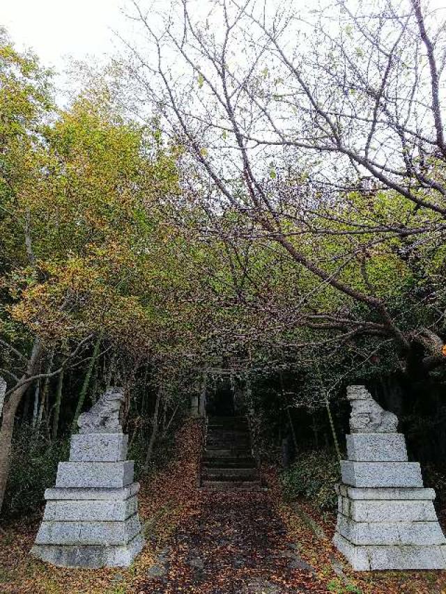 神奈川県横浜市都筑区南山田町3795 山田神社の写真5