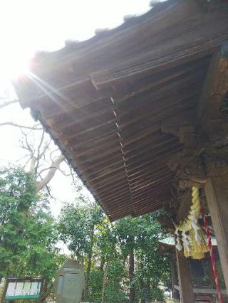 山田神社の参拝記録(またたびさん)