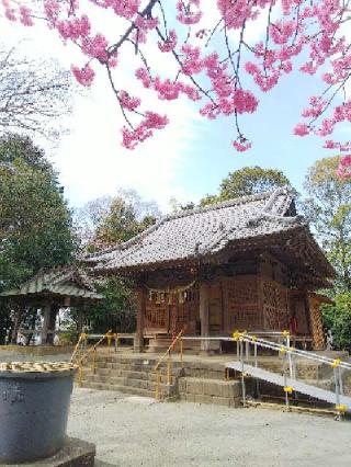 山田神社の参拝記録(またたびさん)