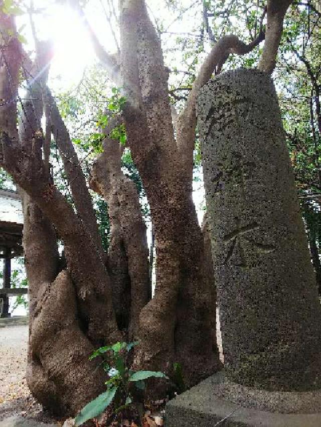 神奈川県横浜市都筑区南山田町3795 山田神社の写真35