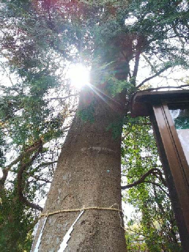 神奈川県横浜市都筑区南山田町3795 山田神社の写真37