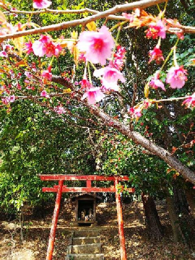 神奈川県横浜市都筑区南山田町3795 山田神社の写真45