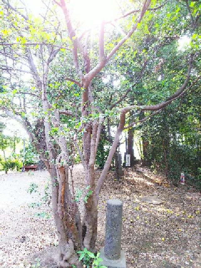 神奈川県横浜市都筑区南山田町3795 山田神社の写真51