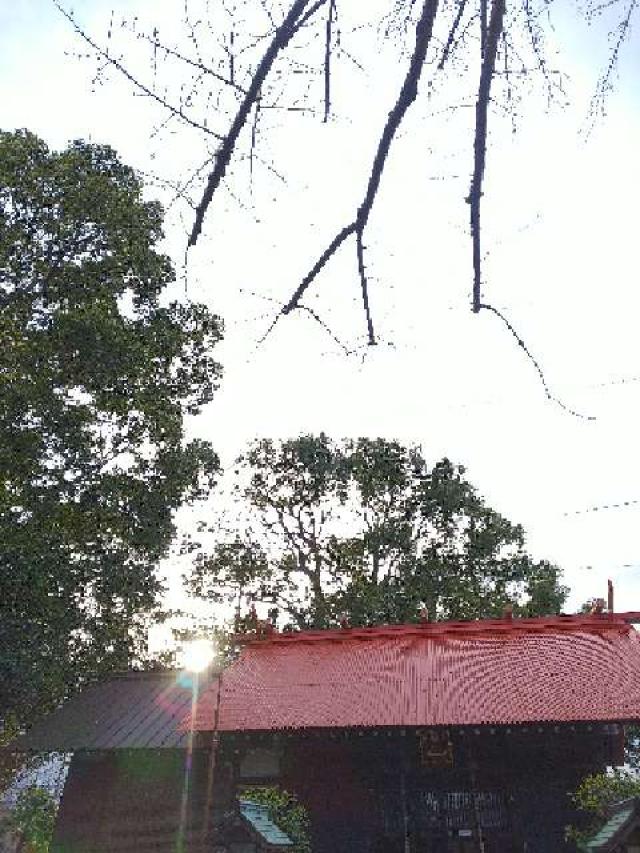 神奈川県横浜市都筑区大熊町497 大熊 杉山神社の写真28