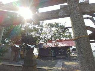 大熊 杉山神社の参拝記録(またたびさん)