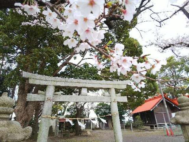 大熊 杉山神社の参拝記録2