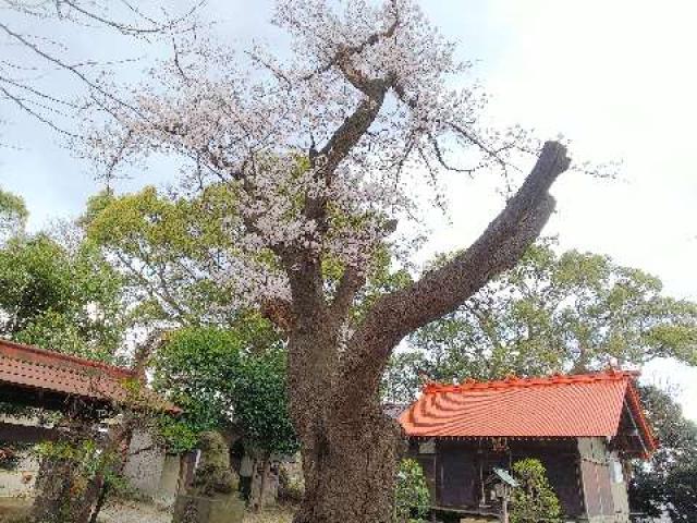 神奈川県横浜市都筑区大熊町497 大熊 杉山神社の写真48