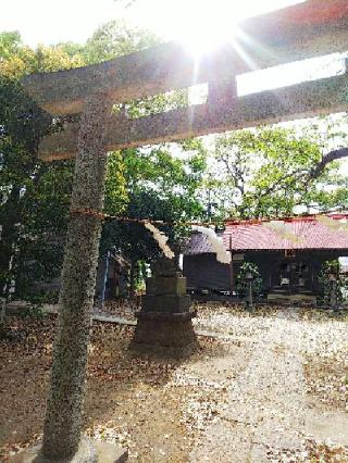 大熊 杉山神社の参拝記録(またたびさん)