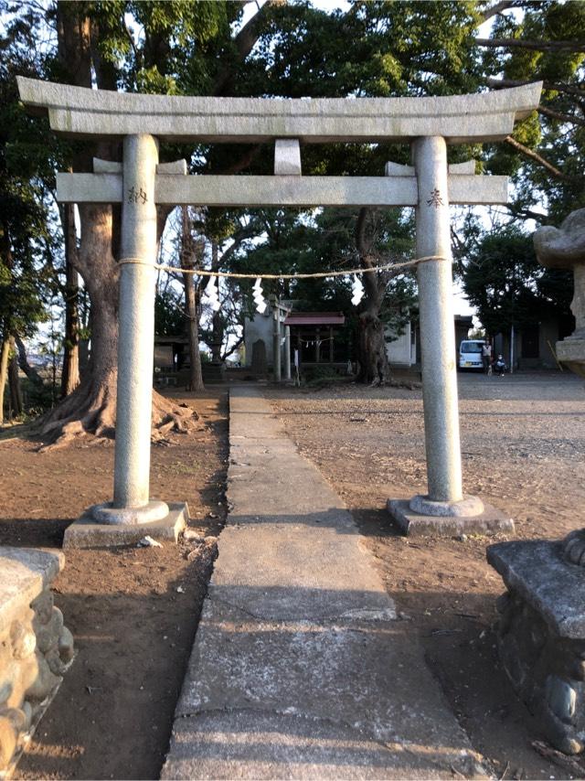 大熊 杉山神社の参拝記録4