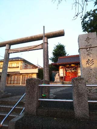 寺山 杉山神社の参拝記録(またたびさん)