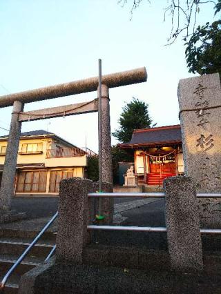 杉山神社の参拝記録(またたびさん)