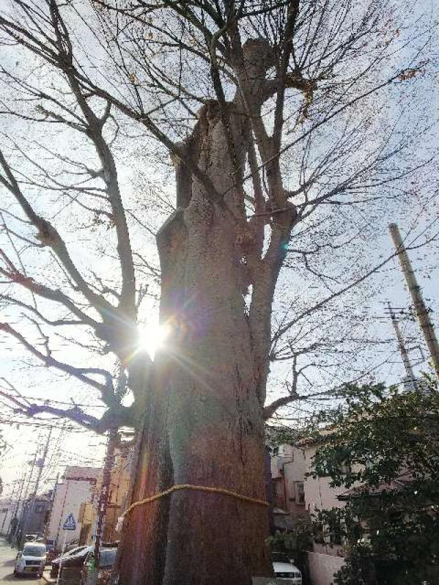 神奈川県横浜市都筑区池辺町2718 池辺杉山神社の写真47