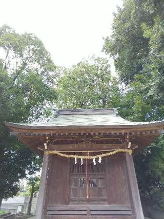 八坂神社の参拝記録(またたびさん)
