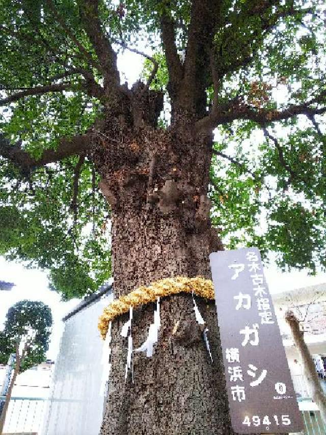 神奈川県横浜市都筑区池辺町2718杉山神社 八坂神社の写真14