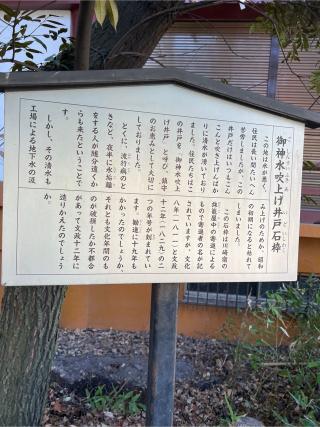 和嶋弁財天社（稲毛神社境内社）の参拝記録(⛩️🐍🐢まめ🐢🐍⛩️さん)