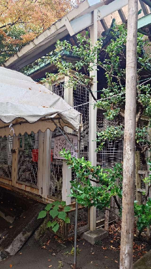 子神社（稲毛神社境内社）の参拝記録7