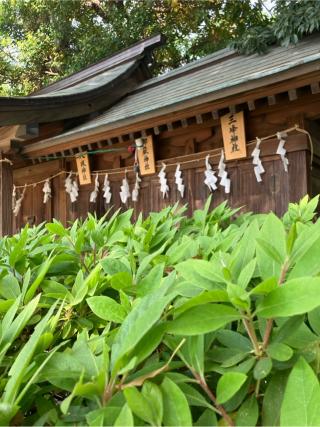 三峰神社（稲毛神社境内社）の参拝記録(もりもりさん)