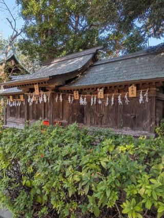 松尾神社（稲毛神社境内社）の参拝記録(はくすみさん)