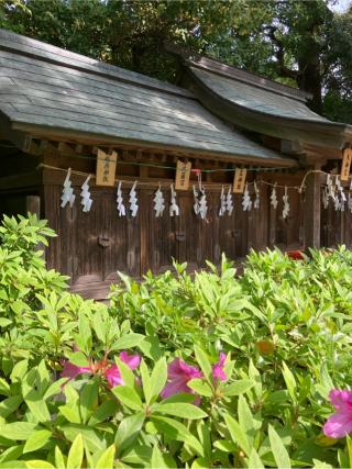 福田稲荷神社（稲毛神社境内社）の参拝記録(もりもりさん)