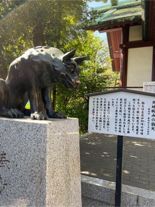 稲毛神社の参拝記録(⛩️🐍🐢まめ🐢🐍⛩️さん)