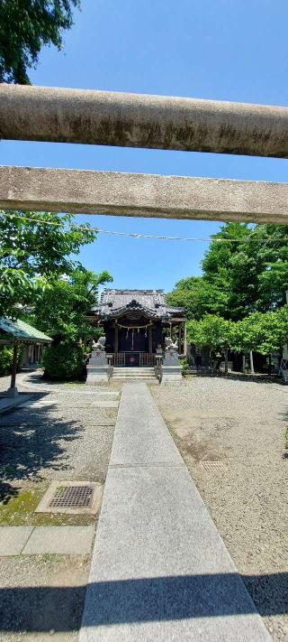 中島八幡神社の参拝記録(まーぼーさん)