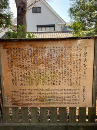 八王子社の参拝記録(⛩️🐍🐢まめ🐢🐍⛩️さん)