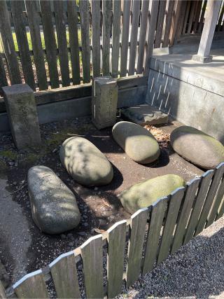 八王子社の参拝記録(⛩️🐍🐢まめ🐢🐍⛩️さん)