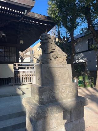 女躰大神の参拝記録(⛩️🐍🐢まめ🐢🐍⛩️さん)