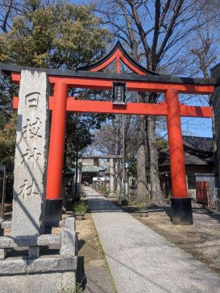 日枝神社（丸子山王日枝神社）の参拝記録(はくすみさん)