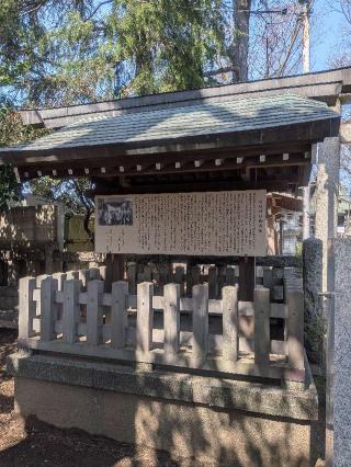 日枝神社（丸子山王日枝神社）の参拝記録(はくすみさん)