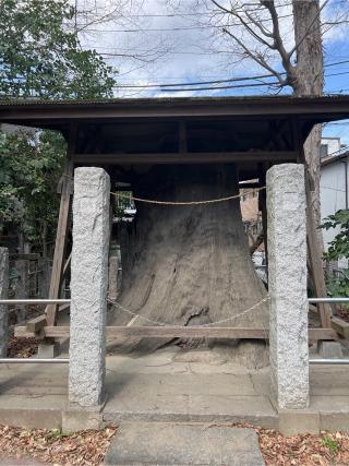 大鷲神社の参拝記録(⛩️🐉🐢まめ🐢🐉⛩️さん)