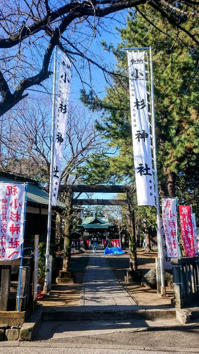 小杉神社の参拝記録(sshimiさん)