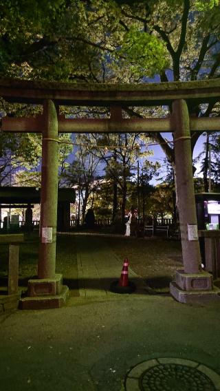 小杉神社の参拝記録(プラティニさん)