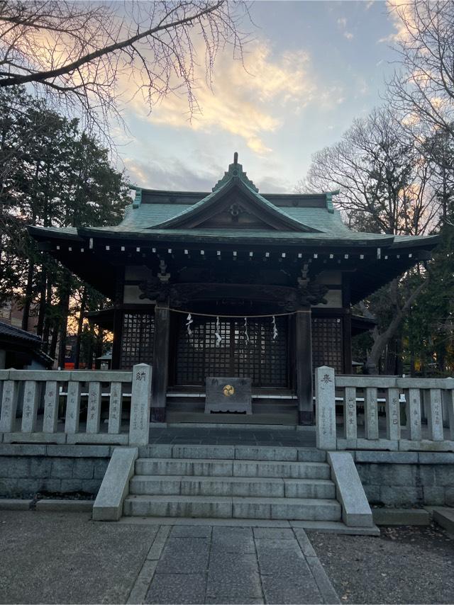 小杉神社の参拝記録(⛩️🐉🐢まめ🐢🐉⛩️さん)