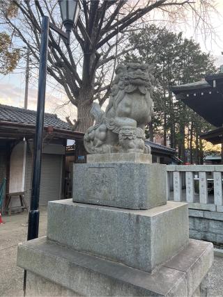 小杉神社の参拝記録(⛩️🐉🐢まめ🐢🐉⛩️さん)