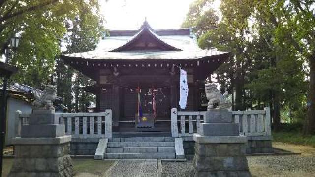 小杉神社の参拝記録(まっきいさん)