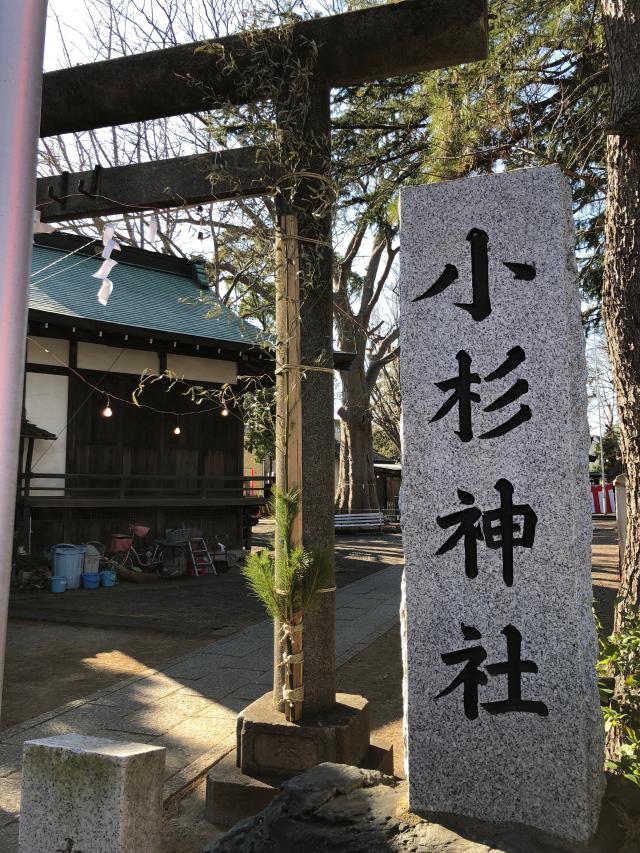 小杉神社の参拝記録(らちっちさん)