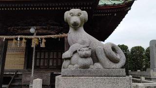 橘樹神社の参拝記録(miyumikoさん)