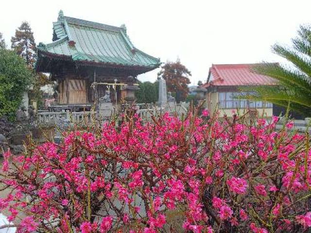神奈川県川崎市高津区子母口122 橘樹神社の写真3