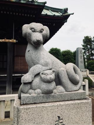 橘樹神社の参拝記録(だぁくさん)