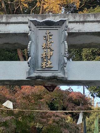 赤城神社の参拝記録(三毛猫さん)