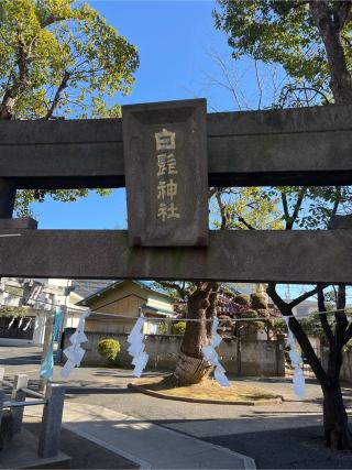 白髭神社の参拝記録(⛩️🐍🐢まめ🐢🐍⛩️さん)