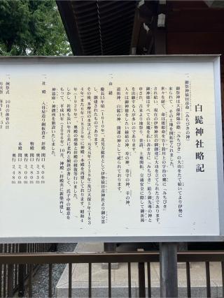 白髭神社の参拝記録(もりもりさん)