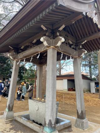 長尾神社の参拝記録(⛩️🐍🐢まめ🐢🐍⛩️さん)