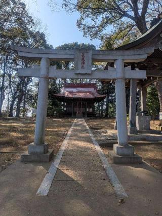 長尾神社の参拝記録(はくすみさん)