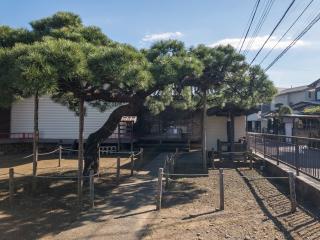 八雲神社の参拝記録(だぁくさん)