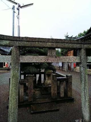 西生田 杉山社の参拝記録(またたびさん)