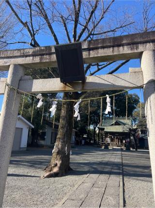 中野島稲荷神社の参拝記録(⛩️🐍🐢まめ🐢🐍⛩️さん)
