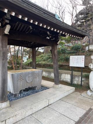 白幡八幡大神の参拝記録(⛩️🎠🐢まめ🐢🎠⛩️さん)